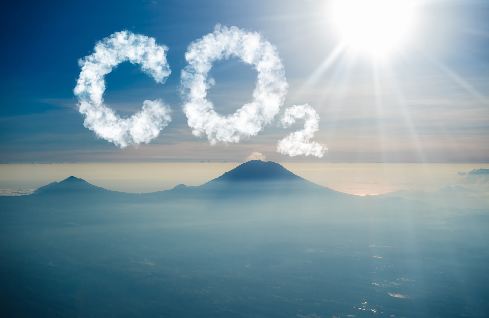 Business Urged To Cut CO2 Emissions